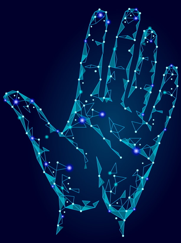 données biométriques de la main