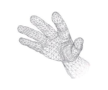 biométrie de la main